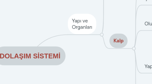 Mind Map: DOLAŞIM SİSTEMİ