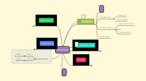 Mind Map: Anatomia