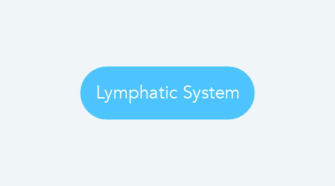 Mind Map: Lymphatic System