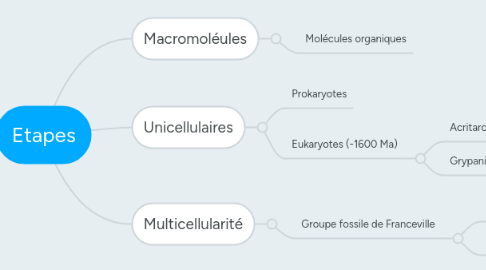 Mind Map: Etapes