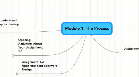 Mind Map: Module 1: The Process