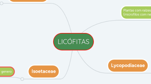 Mind Map: LICÓFITAS