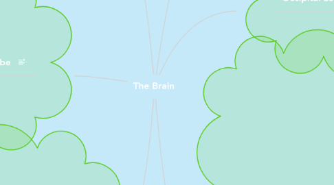 Mind Map: The Brain
