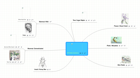 Mind Map: WI State Symbols