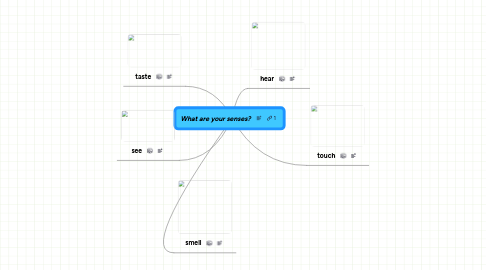 Mind Map: What are your senses?