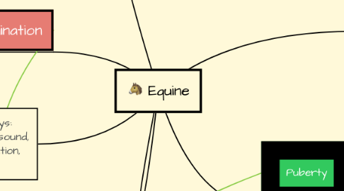 Mind Map: Equine