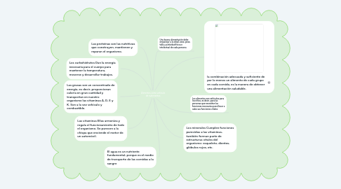 Mind Map: Alimentos como vehículo de nutrimentos