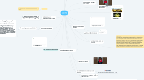 Mind Map: CIENCIAS SOCIALES