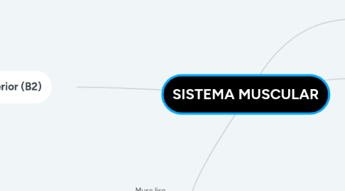 Mind Map: SISTEMA MUSCULAR