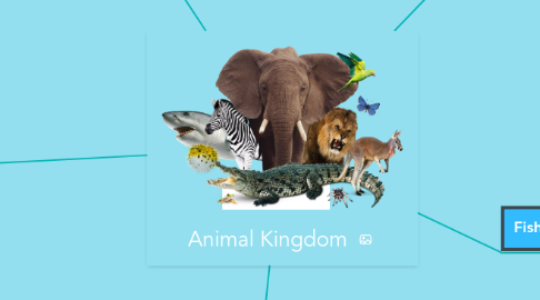 Mind Map: Animal Kingdom