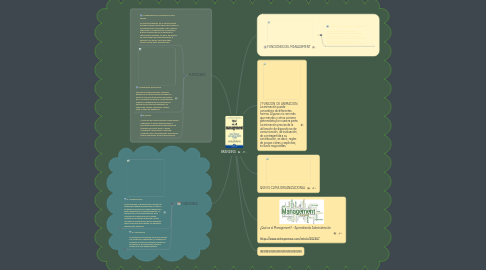 Mind Map: QUE ES UN MANAGEMENT