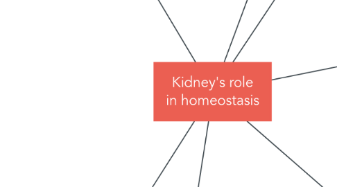 Mind Map: Kidney's role in homeostasis