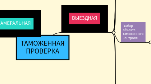 Mind Map: ТАМОЖЕННАЯ ПРОВЕРКА