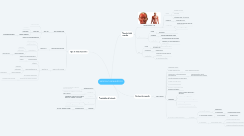 Mind Map: MÚSCULO ESQUELÉTICO