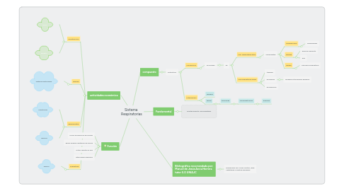 Mind Map: Sistema Respiratorias