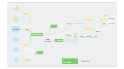 Mind Map: Sistema  Respiratorias