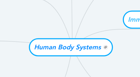 Mind Map: Human Body Systems