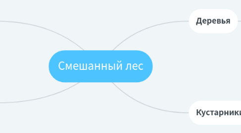 Mind Map: Смешанный лес