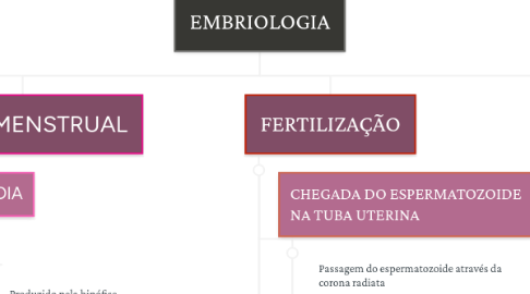 Mind Map: EMBRIOLOGIA