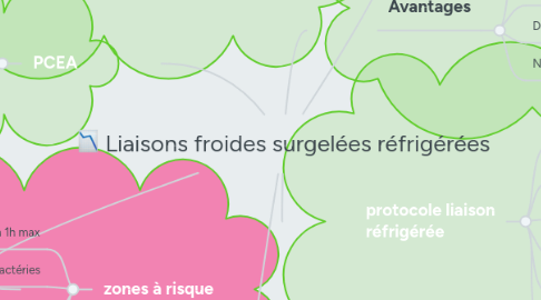 Mind Map: Liaisons froides surgelées réfrigérées