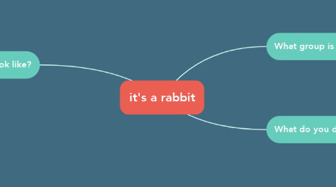 Mind Map: it's a rabbit