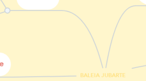 Mind Map: BALEIA JUBARTE