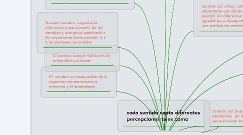 Mind Map: las relaciones del cerebro  con las percepciones