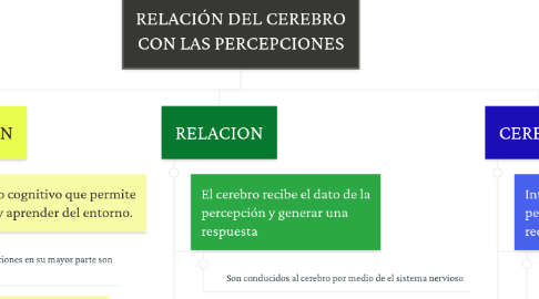 Mind Map: RELACIÓN DEL CEREBRO CON LAS PERCEPCIONES