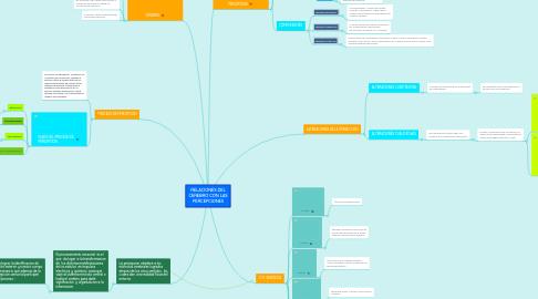 Mind Map: RELACIONES DEL CEREBRO CON LAS PERCEPCIONES