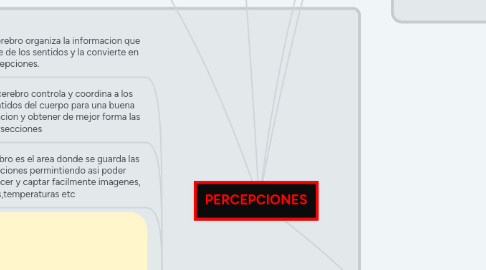 Mind Map: PERCEPCIONES