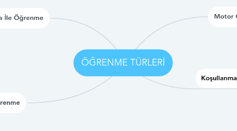 Mind Map: ÖĞRENME TÜRLERİ