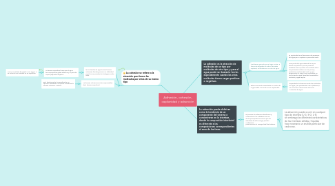 Mind Map: Adhesión, cohesión, capilaridad y adsorción