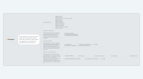 Mind Map: Percepción