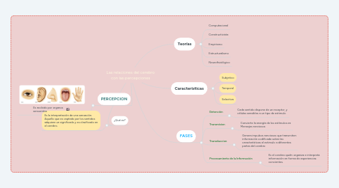 Mind Map: Las relaciones del cerebro con las percepciones