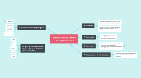 Mind Map: Las relaciones del cerebro con las percepciones