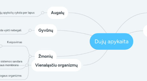 Mind Map: Dujų apykaita