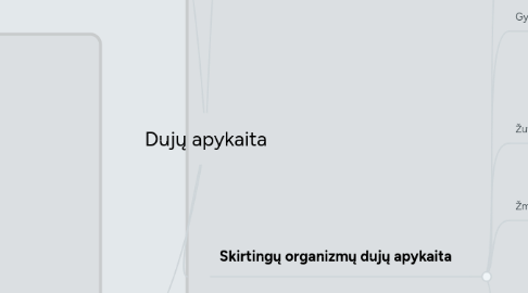 Mind Map: Dujų apykaita