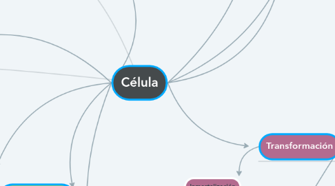 Mind Map: Célula