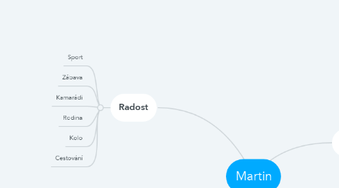 Mind Map: Martin