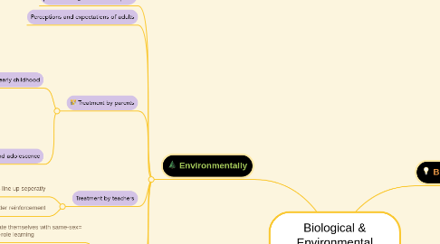 Mind Map: Biological & Environmental Influences on Gender