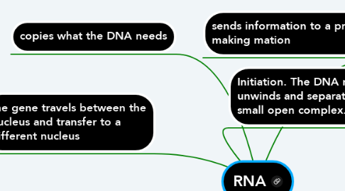 Mind Map: RNA