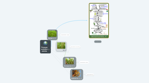 Mind Map: Processo evolutivo plantas