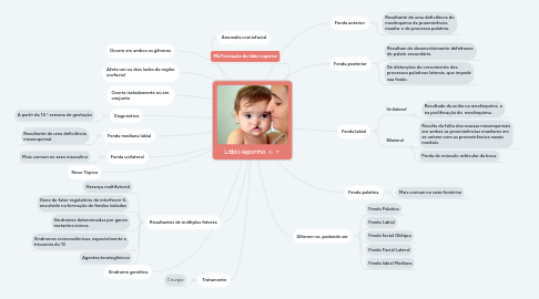 Mind Map: Lábio leporino