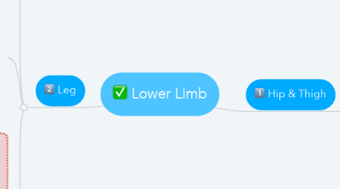Mind Map: Lower Limb