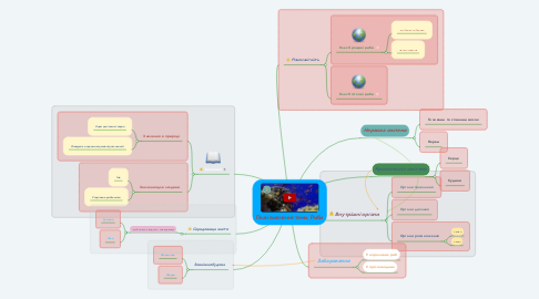 Mind Map: План вивчення теми. Риби