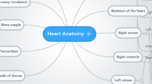 Mind Map: Heart Anatomy