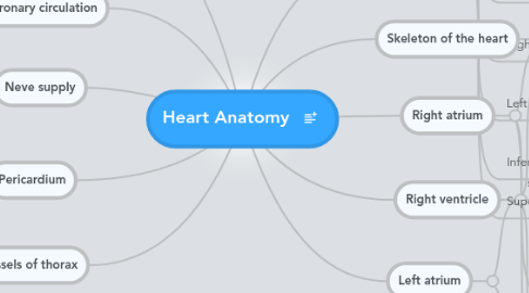 Mind Map: Heart Anatomy