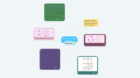 Mind Map: Herencia En El Ser Humano