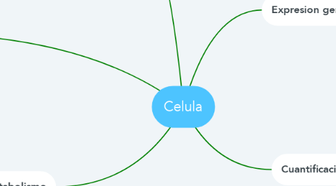 Mind Map: Celula