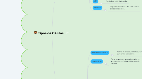 Mind Map: Tipos de Células